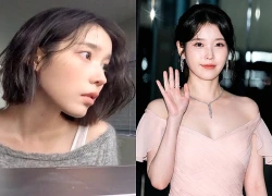 IU tranh thủ "dao kéo" nâng cấp nhan sắc sau khi chia tay Lee Jong Suk?