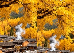 Ngày sinh Âm lịch của người không giàu sớm nhưng dễ vững vàng về sau