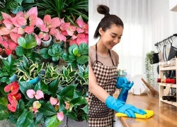Những việc nên làm khi kết thúc tháng 7 âm để đón tháng 8 âm tài lộc, vận may khởi sắc