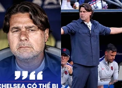 Pochettino đòi tước chức vô địch của Chelsea, trao lại cho Tottenham