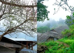Sin Suối Hồ: Khám phá "thiên đường trong mây"