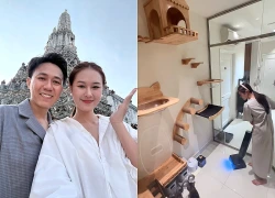 Vợ Anh Đức xây "biệt thự cho mèo": Làm bằng kính cường lực, có hầm chui thông ra ban công