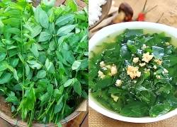 4 nhóm người nên thận trọng khi ăn rau ngót, không nên lạm dụng