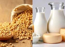 4 thức uống giàu protein có thể thay đổi bữa ăn quen thuộc