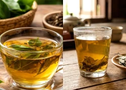 Ai không nên uống nhiều nước lá vối?