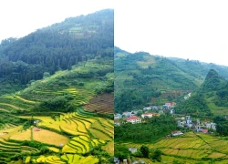 Cao Sơn vào thu