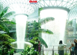 Chiêm ngưỡng thác nước nhân tạo lớn nhất thế giới giữa sân bay Singapore