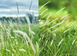 Dẫn con đi dự tiệc, chồng trưởng phòng phát hiện bí mật của vợ