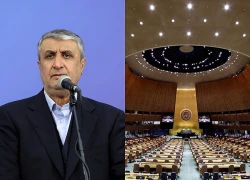 Iran: Lãnh đạo hạt nhân bị ngăn tới Áo dự họp Liên hợp quốc
