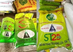 Khởi tố vụ làm giả nhãn hiệu gạo ST25