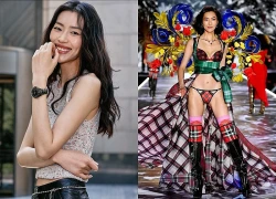 Lưu Văn: Từ cô gái tỉnh lẻ tự nhận "không đẹp" đến siêu mẫu số một châu Á