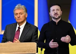 Nga bác đề xuất gặp thượng đỉnh với Ukraine tại Mỹ