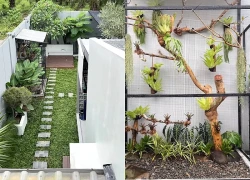 Nhà cho chim ở giá 6,5 triệu của một TikToker: Bên trong có gì?