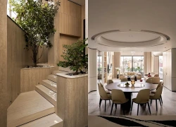 Nhà phố 7 tầng ngập tràn ánh sáng và cây xanh