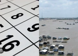 Tra cứu Âm Dương lịch ngày 13/09/2026: Giờ hoàng đạo và việc nên làm trong ngày Canh Dần