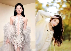 Tử vi 12 con giáp hôm nay 14/9: Mão đón vận may, Hợi tiền bạc dồi dào