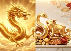 Tử vi ngày mai 13/9: 3 con giáp được quý nhân trợ lực, công việc hanh thông, tài lộc khởi sắc