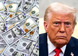 177 tỷ USD trợ cấp bị cắt giảm hoặc đóng băng dưới thời ông Trump