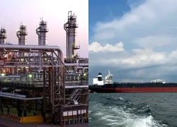 Ả Rập Xê-út cắt giảm xuất khẩu dầu sang châu Âu