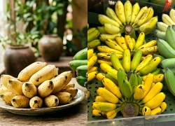 Chuối xanh chứa nhiều chất có lợi nhưng ai nên tránh?