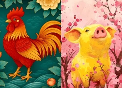 Đúng 20h hôm nay, ngày 16/9/2026, 3 con giáp hưởng vận đại phúc, tiền nhiều vô kể, phát tài cực to, cuộc sống no đủ viên mãn