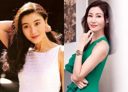 'Hoa hậu đẹp nhất Hong Kong' rời showbiz làm dâu hào môn, U60 vẫn đẹp gợi cảm