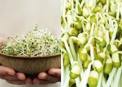 Loại rau bình dân dễ làm, ăn vào tốt cho sức khỏe, đặc biệt ngăn ngừa đột quỵ và bệnh tim mạch