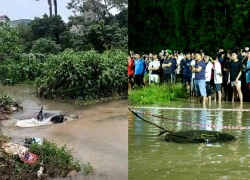 Nam sinh viên nghi mất tích giữa đường ngập ở Hà Nội, mẹ xuyên đêm chờ tin con