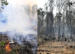 Những phụ nữ ở tuyến đầu chống cháy rừng trên đảo Borneo ở Indonesia