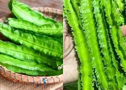 Tác dụng của loại đậu được ví như 'rồng xanh' trong vườn