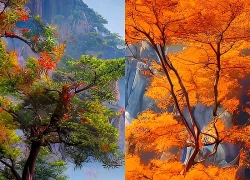 Tháng sinh Âm lịch của người có cuộc đời gặp nhiều thử thách nhưng hậu vận đáng nể