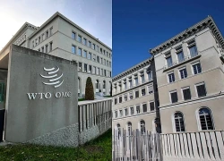 Thế giới thiệt hại 10% GDP nếu các quy tắc thương mại bị suy yếu