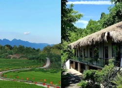 Tò mò vốn dĩ là bản tính của con người