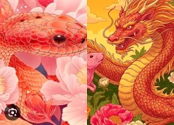 Tử vi 12 con giáp hôm nay ngày 17/12/2025: Mùi muộn phiền, Thìn phòng tiểu nhân