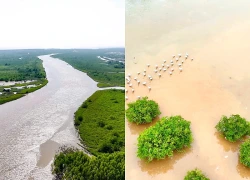 Vườn Quốc gia Xuân Thủy được công nhận là Điểm du lịch