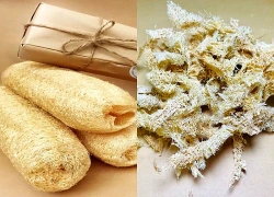 Xơ mướp - thứ tưởng bỏ đi lại là vị thuốc