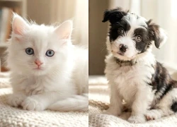 100 ngày tới: 3 con giáp Ăn Lộc Mẫu trúng số giải đặc biệt giàu nứt vách