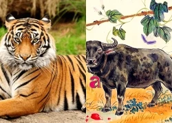 Tử vi hôm nay, xem tử vi 12 con giáp hôm nay ngày 22/9/2026: Tuổi Hợi tinh thần minh mẫn
