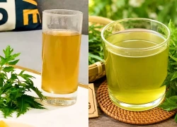 Ai không nên uống nước lá đinh lăng?