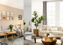 Làm sao để nhà luôn thơm? Bí quyết đánh thức tài lộc cho không gian sống