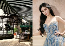 Luôn xuất hiện với hình ảnh sang chảnh, không ai nghĩ ngôi nhà của Dương Mịch lại thế này
