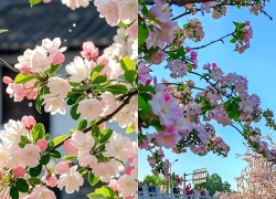 Ngày sinh Âm lịch của người khôn ngoan, sắc sảo