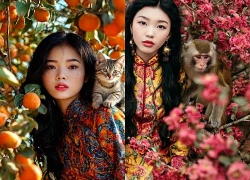 Tử vi ngày mai: 4 con giáp trải qua bước ngoặt vận mệnh trong cuộc đời, sự nghiệp thuận lợi, thu nhập tăng cao
