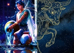 Tử vi 12 cung hoàng đạo Chủ Nhật 20/9/2026: Bảo Bình vận khí rất tốt