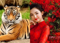 Tử vi hôm nay, xem tử vi 12 con giáp hôm nay ngày 21/9/2026: Tuổi Tỵ tài lộc dồi dào