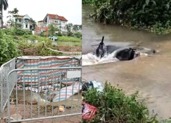 Vụ nam sinh gặp nạn tại cống: Hà Nội yêu cầu làm rõ trách nhiệm liên quan