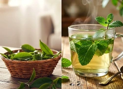 5 loại trà thảo dược người bệnh dạ dày không nên uống tùy tiện
