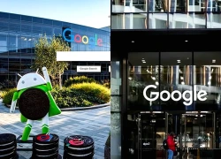 Apple và Google chiêu mộ nhân tài tài sản mã hoá