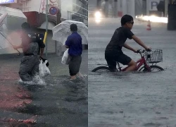 Bão Dujuan gây hỗn loạn, 2 người thiệt mạng tại Nhật Bản