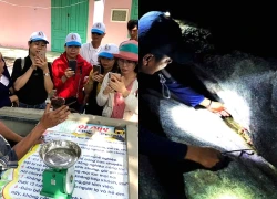 Cù Lao Chàm: Từ "săn" cua đá đến khai thác văn minh